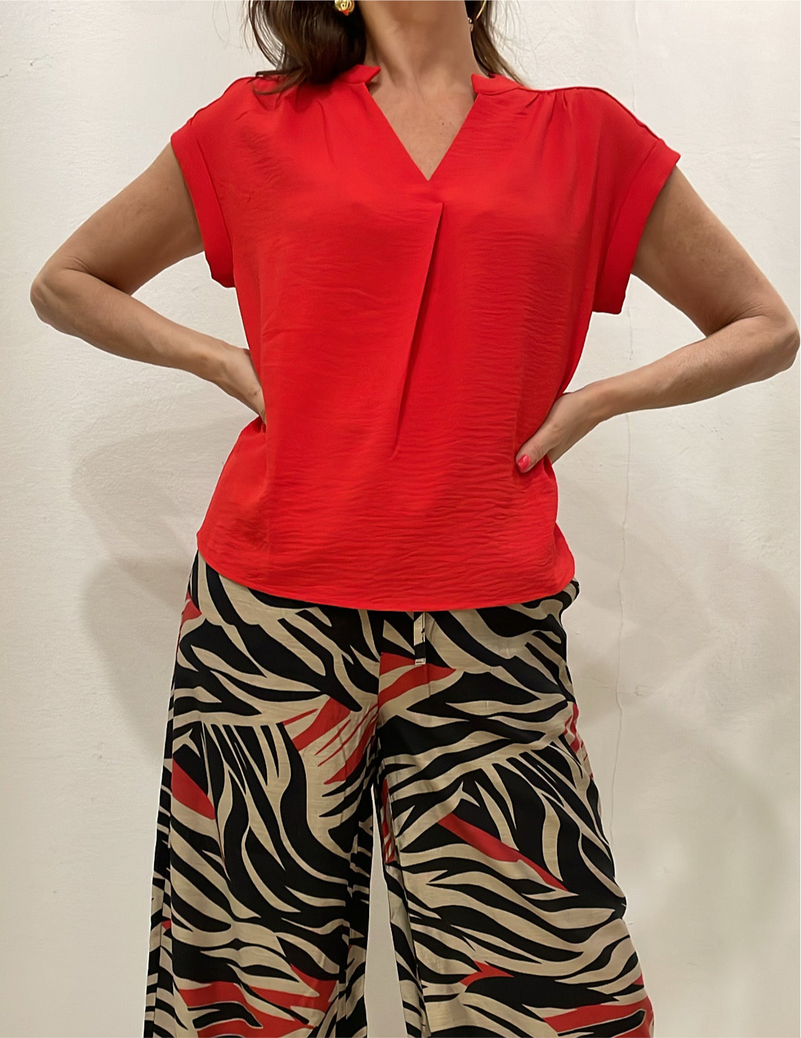 Blusa